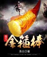 我乃金箍棒