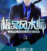 极品风水师